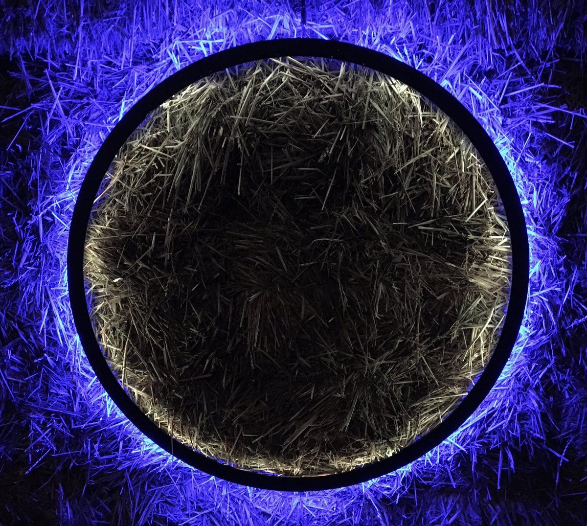 EmmaCameron9's tweet photo. Really enjoyed the Harmonic Portals by Chris Plant - a bit like Mark Rothko eclipses ⁦@LightUpTrails⁩ #WistonEstate https://t.co/VSDZDKEJzl