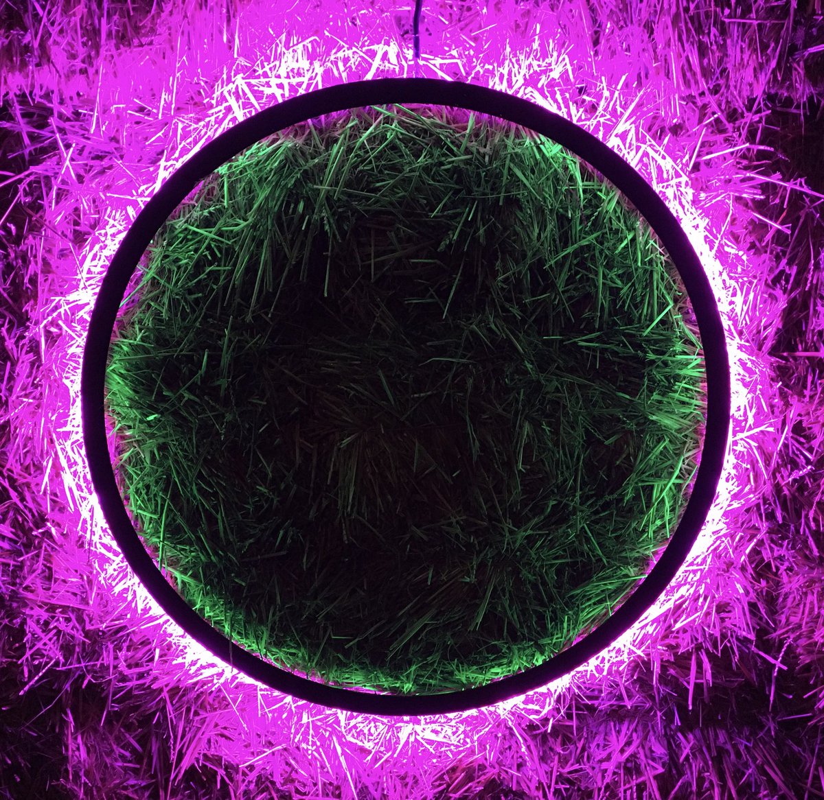EmmaCameron9's tweet photo. Really enjoyed the Harmonic Portals by Chris Plant - a bit like Mark Rothko eclipses ⁦@LightUpTrails⁩ #WistonEstate https://t.co/VSDZDKEJzl