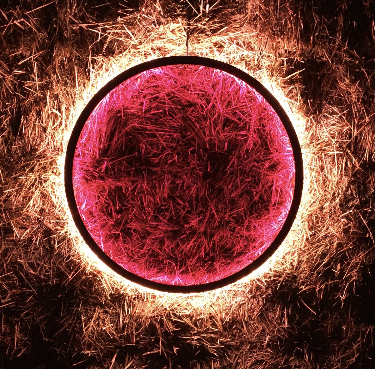EmmaCameron9's tweet photo. Really enjoyed the Harmonic Portals by Chris Plant - a bit like Mark Rothko eclipses ⁦@LightUpTrails⁩ #WistonEstate https://t.co/VSDZDKEJzl