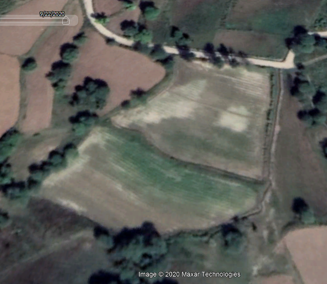 So we investigated the problem. How long has this saline patch & high water table been an issue here? 1. 09/20 - the saline patches & the wet patches r visible. 2. 03/17 - 2 years before we leased this land. 3. 03/09 - >10 years ago, salinity persists4. 04/05 - still there!