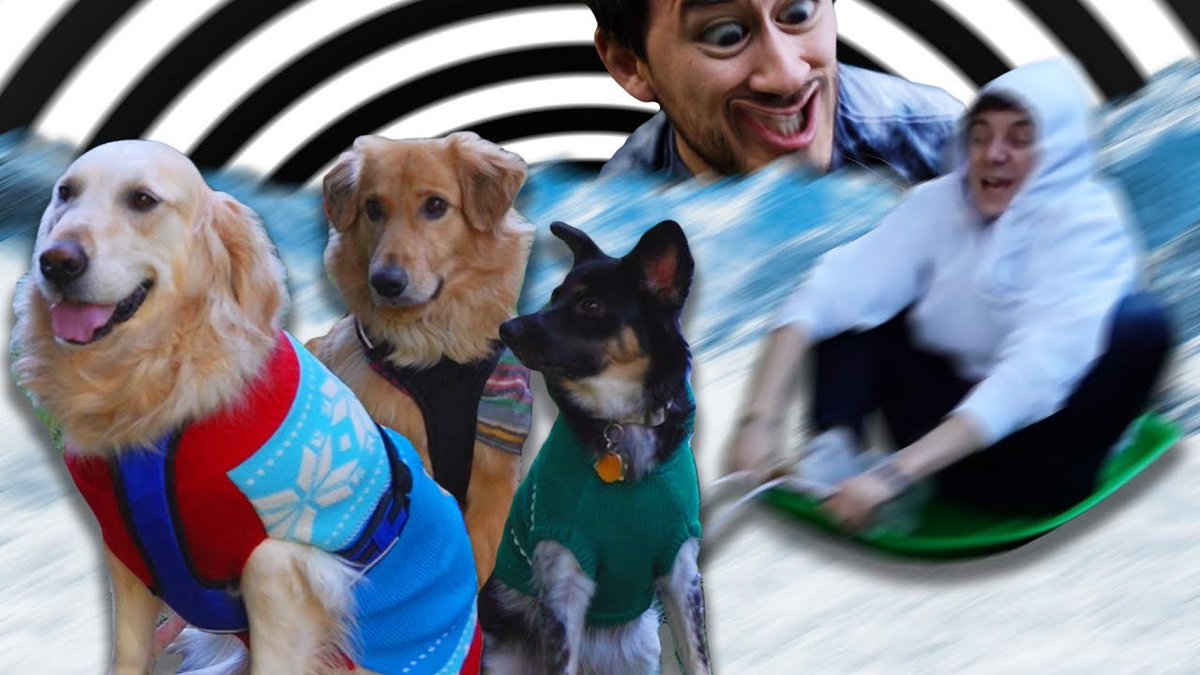 PostUnumAnnum's tweet photo. December 23rd 326:12:00:00
Unus Annus posted "Harnessing Our Dogs' Unlimited Energy"
Henry, Spencer, and Chica sure do their best!
#UnusAnnus #markiplier #crankgameplays #mementomori #unusannusmerch #markicember https://t.co/ovksz6MQsh
