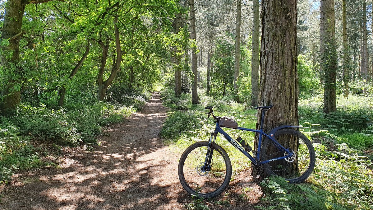 May was more lockdown walking but with added lockdown cycling to try and keep sane *ish