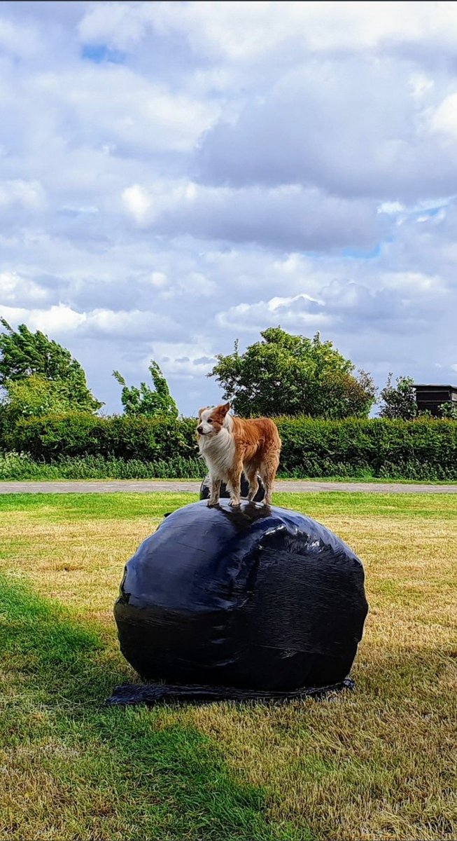 May was more lockdown walking but with added lockdown cycling to try and keep sane *ish