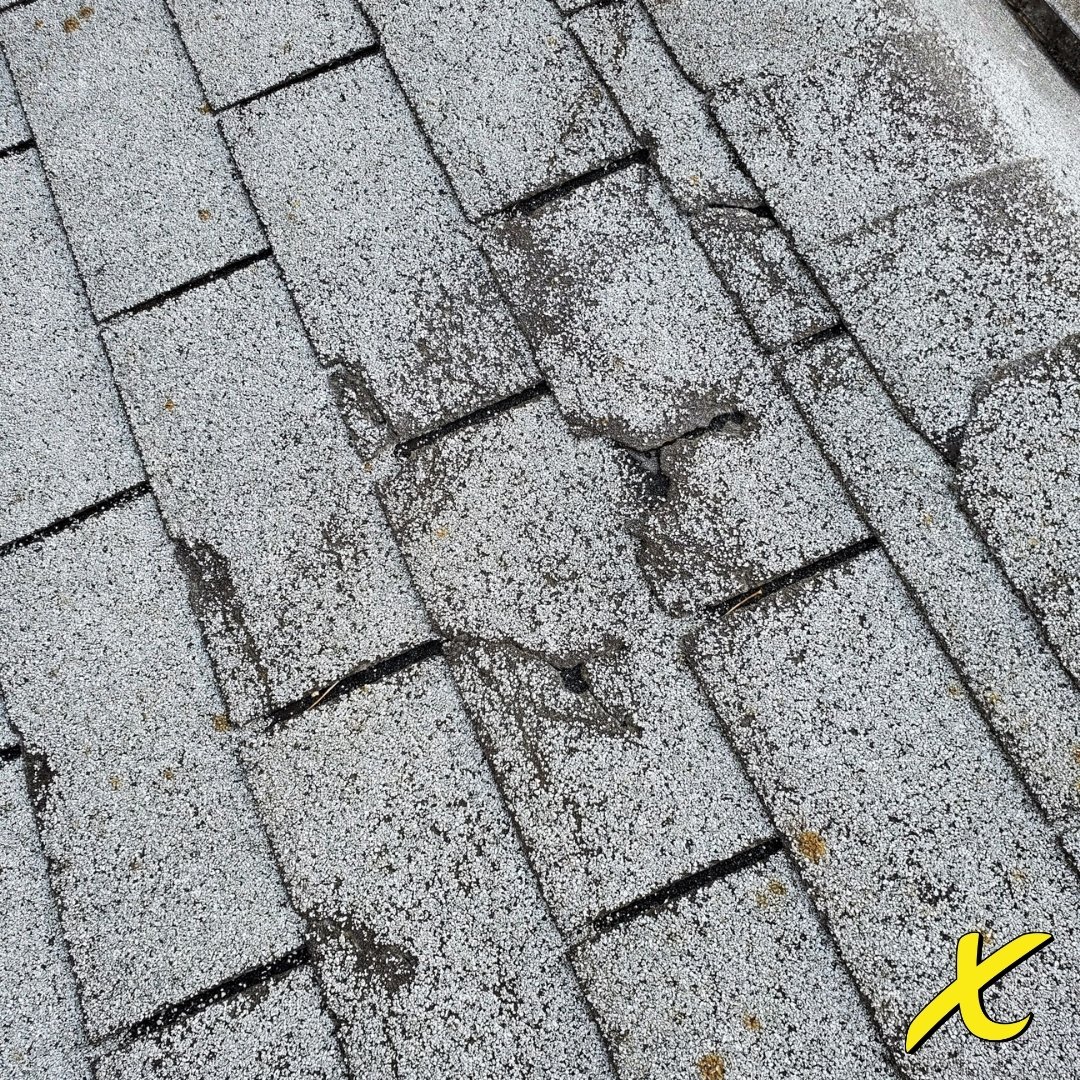 “My roof is leaking, does it need to be fully replaced?” First, to answer this question, our experts should explain the most common causes of leaky roofs and the damage it does to your home. Learn more here//bit.ly/2WASAa2  

#SiouxLand #RoofRepairs #SiouxCity