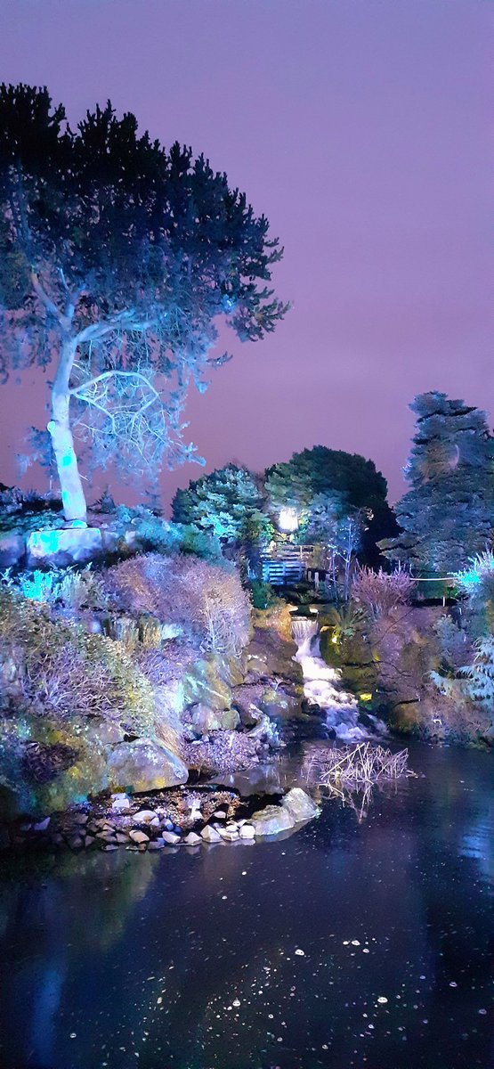 Eithnenc's tweet photo. All lit up at the Botanics this evening @TheBotanics https://t.co/xrPWG0Ibtu