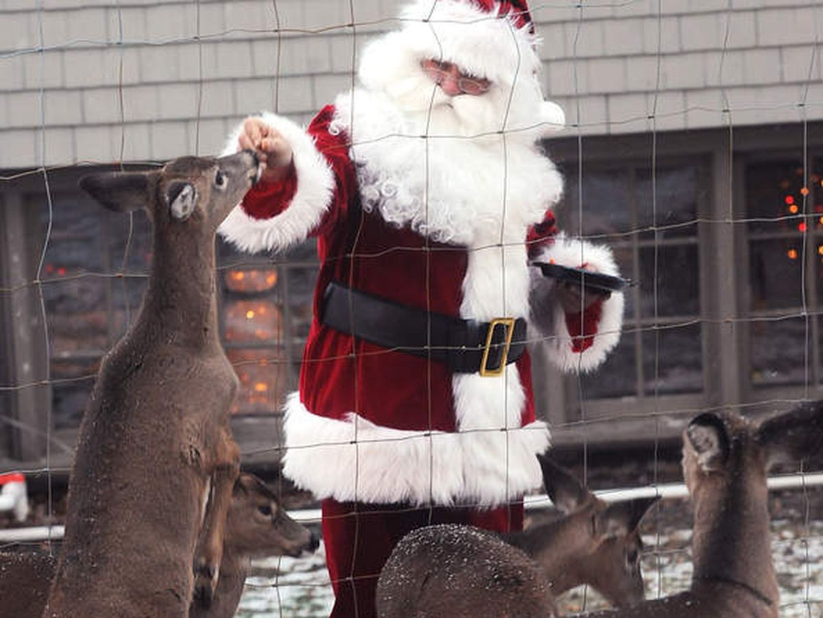 orlandosentinel's tweet image. Amid holiday travel concerns, Florida issued a special permit for animal movement — to Santa Claus bit.ly/37K0fti