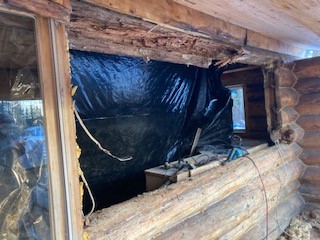 MH_WoodS's tweet image. One of our crews have been busy on a restoration project in the Buck Lake area.  Years of neglect and an inadequate roof structure led to the extreme decay.  Several logs needed to be replaced while others needed boron rods to protect them. #logrestoration #logbuilder