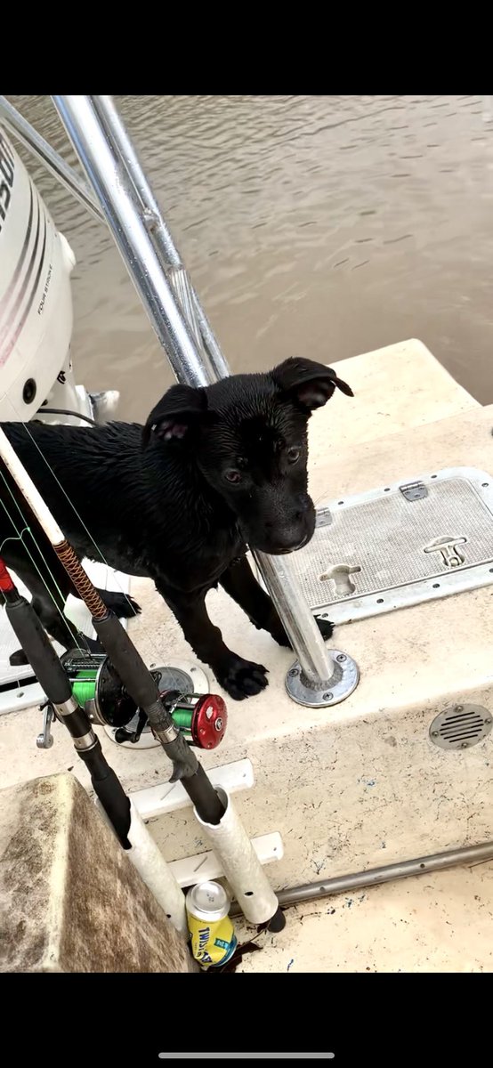 • Jaci Arbing 🖤• tweet media