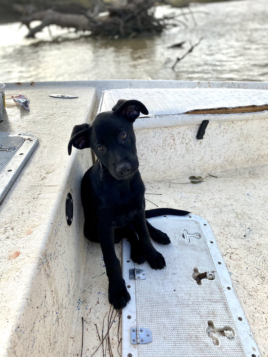 • Jaci Arbing 🖤• tweet media