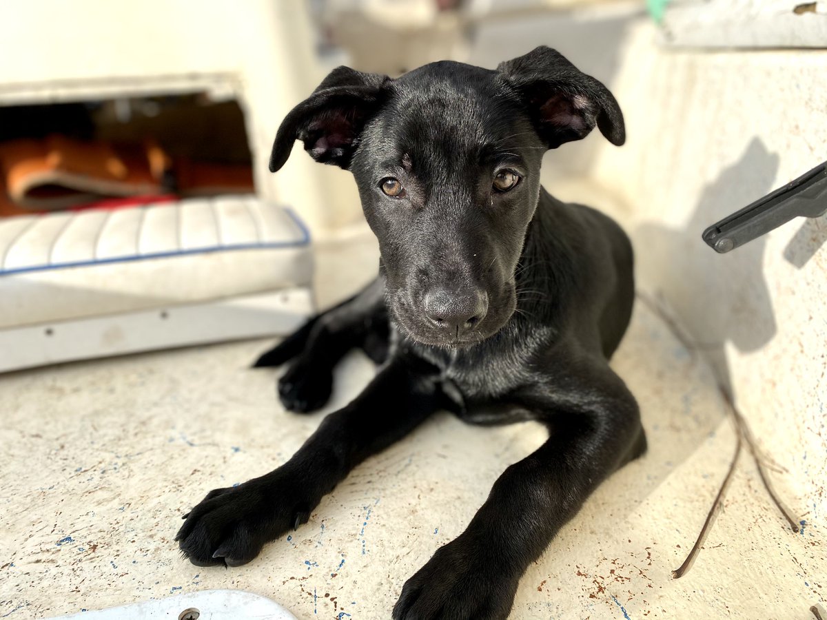 • Jaci Arbing 🖤• tweet media