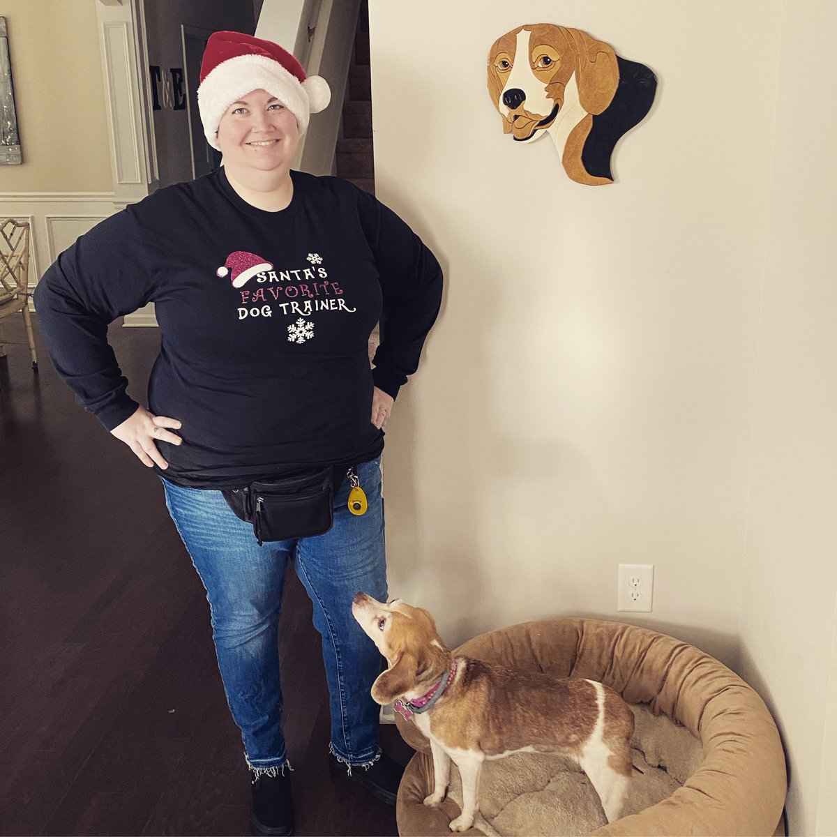 AcademyPaws's tweet photo. It’s beginning to look a lot like Christmas! BJ really hopes that Santa will be giving her the Kraft single in my treat pouch 😂
#HeIsnt #DontTellHer #Shhhhh
#ProfessionalPawsAcademy #PositiveDogTraining #PetSitting #SantasFavoriteDogTrainer #TriadDogTrainer https://t.co/yALi1zAy9a
