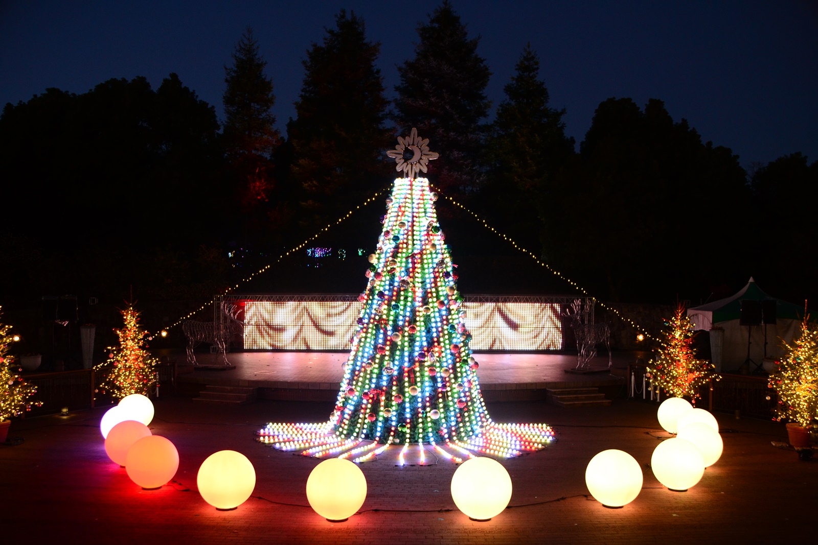 安城産業文化公園デンパーク メリークリスマス デンパーク ウィンターフェスティバル 開催中 年内12月30日 水 まで デンパークは毎日夜９時までの営業です 24 27日には花火ショーも 日没からイルミネーションもお楽しみください T