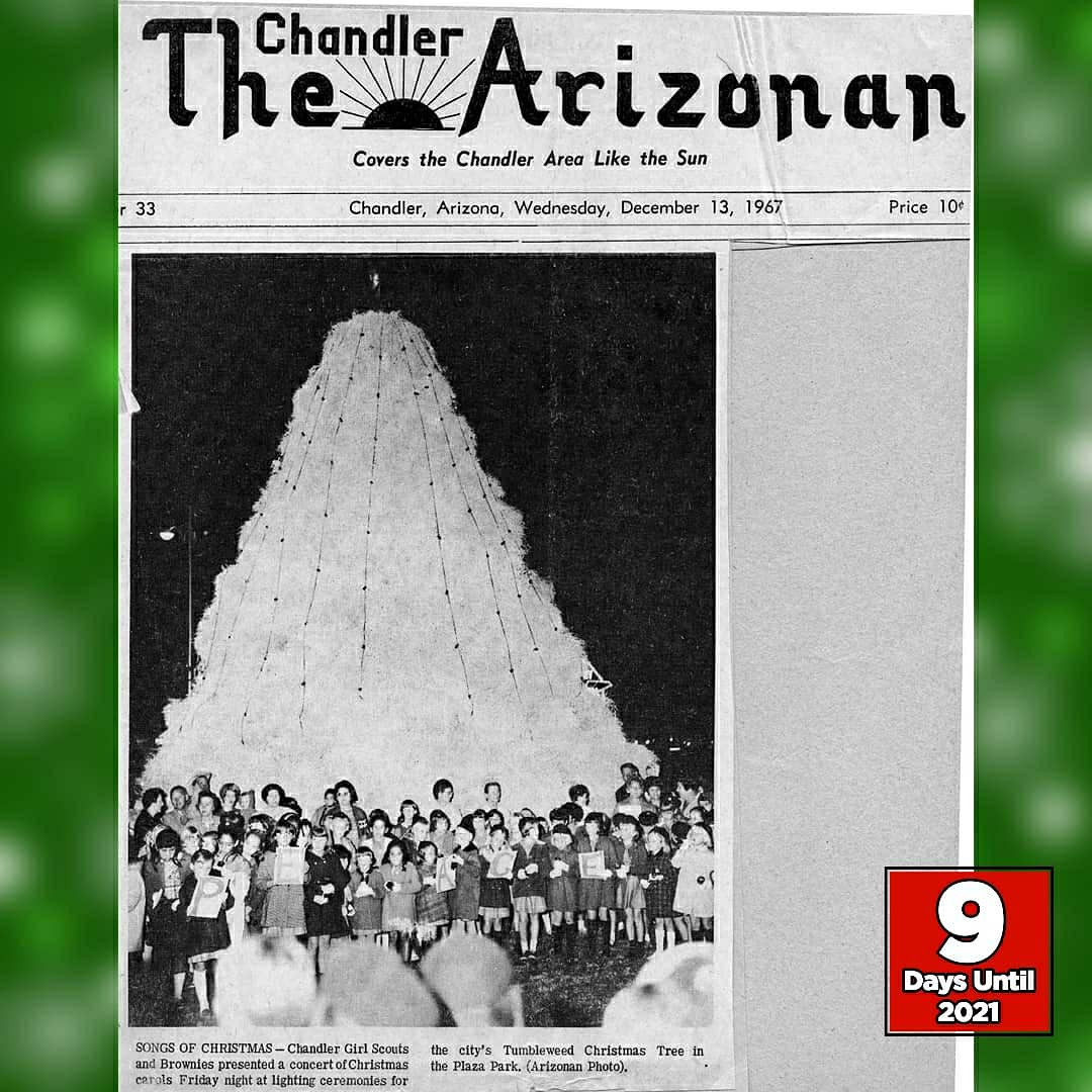 ChandlerLoyal's tweet photo. 9 DAYS UNTIL 2021💥
Merry Christmas Eve Eve...
Tumbleweed Tree through the YEARS!
🚨🌲🌲🌲🚨
https://t.co/korSob9TVl https://t.co/t9Pr6a8vXg