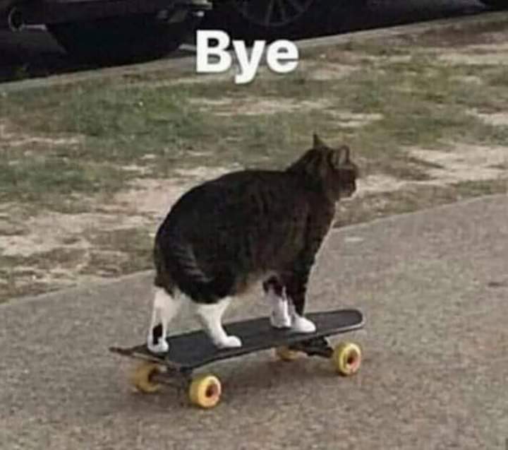 EmptyInnerspace's tweet image. ALV...