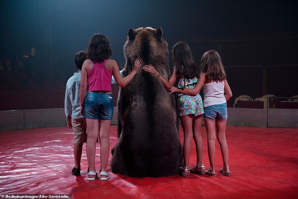  #Tima the brown bear of the Gran Circo Holiday circus poses for a photo with children in Spain