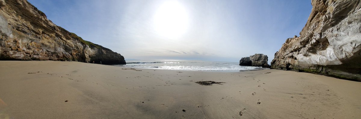 GamerTangled's tweet image. 