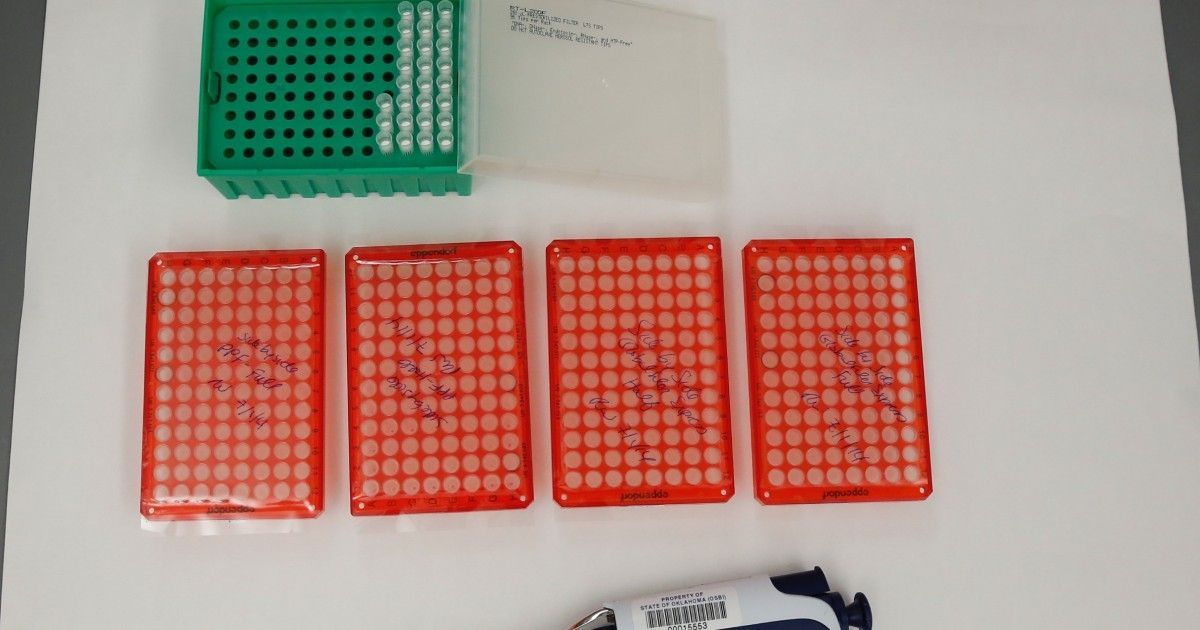 SCAFOorg's tweet photo. Illinois Has 5,000 Pieces Of DNA Evidence That Need To Be Tested. It’s a Huge Improvement https://t.co/jvr0i2uTxh #forensics #CSI #lawenforcement #forensicscience #evidence #DNA #Udemy #forensicscienceacademy https://t.co/SLLw2MqNBt