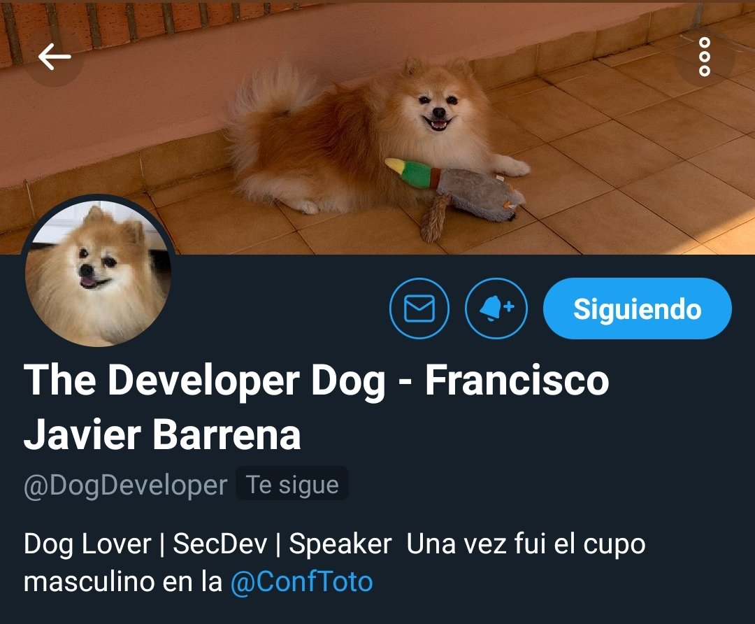 AnastasiaKnt's tweet photo. Me acabo de dar cuenta de esto y muero de amor y de respect. @ConfToto @DogDeveloper https://t.co/euwEaCpKMl