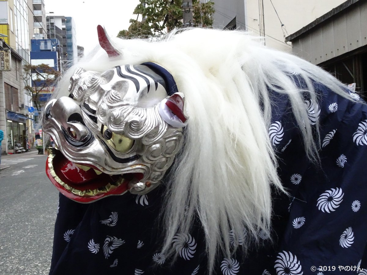獅子舞写真bot 本町囃子連さんの銀獅子 19年 みずき通りの秋フェスティバルにて 投稿 やのけんさん T Co 1aoezptyxc 獅子舞 八王子市 祭囃子 銀獅子
