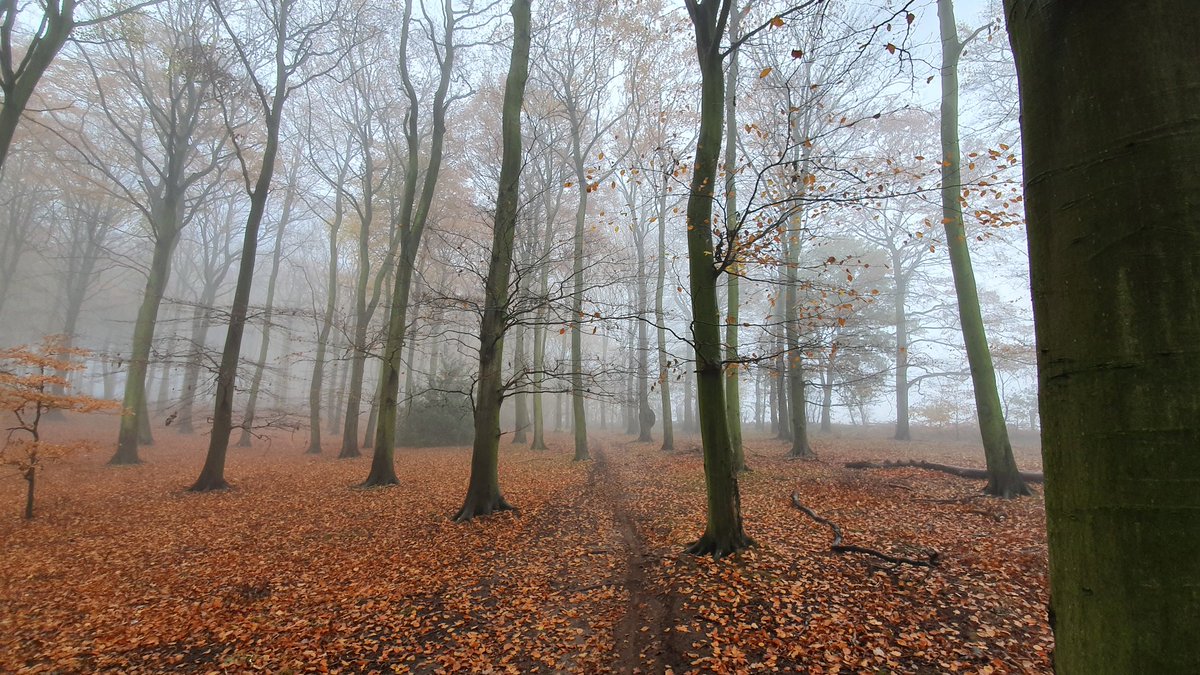 October saw me cycle the furthest i have ever managed on my mtb in a day, 50 miles with only a couple of them on the road, I also had two stints of local cycling, first with  @chrissiepebbles & then with  @GeoffCrowther1