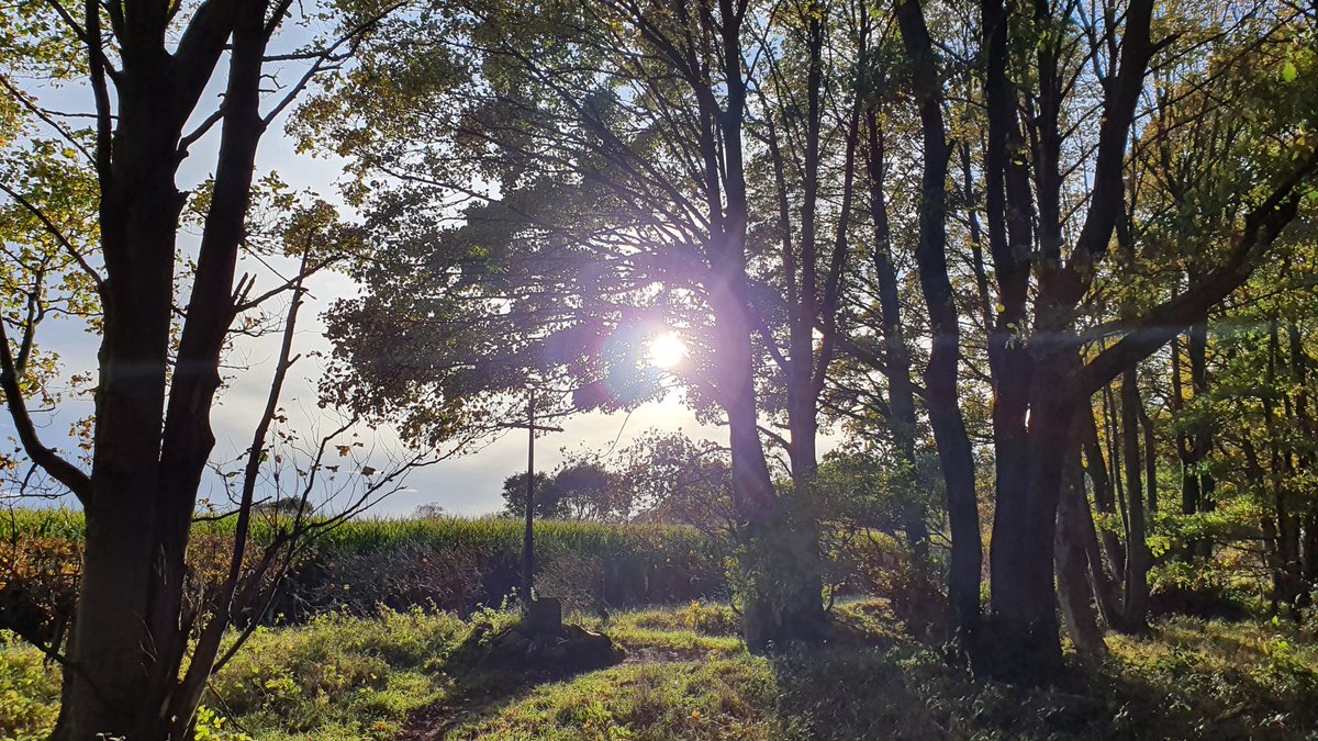 October saw me cycle the furthest i have ever managed on my mtb in a day, 50 miles with only a couple of them on the road, I also had two stints of local cycling, first with  @chrissiepebbles & then with  @GeoffCrowther1