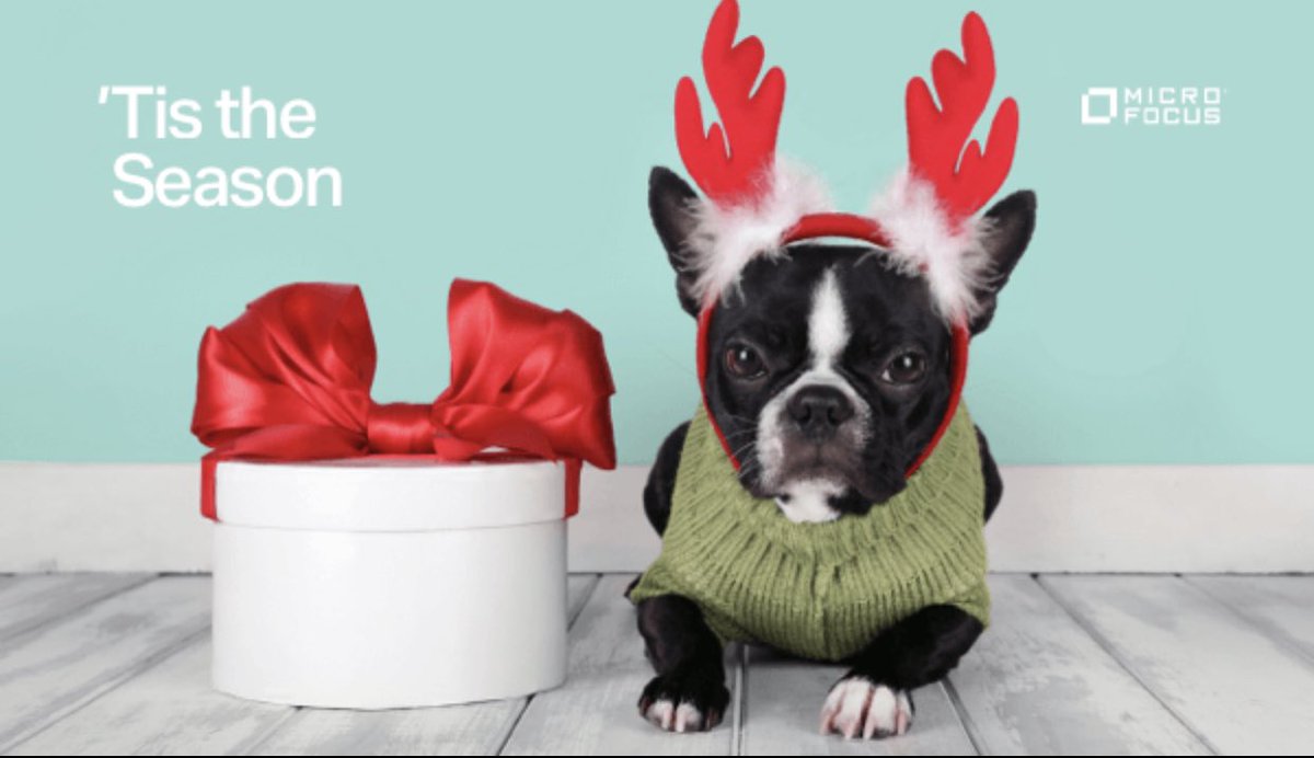 Tis the season to be jolly. Be safe but have a jolly time. Merry Christmas to all my lovely followers and thank you for your support this year. 🎄🎄