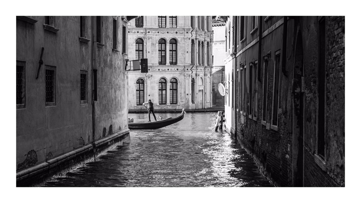 jasonlriley's tweet photo. Venetian days https://t.co/VPMUfia0sV