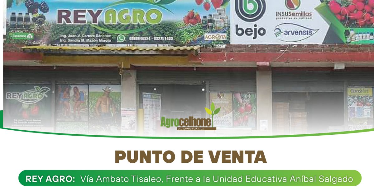 Puntos de Venta en #Tungurahua 🛒🇪🇨 Encuentra los más eficaces insumos agrícolas para nutrición y protección de tus cultivos en:

📍 ReyAgro - Vía Ambato Tisaleo, frente a la Unidad Educativa Aníbal Salgado
📞 099 876 3158 (Ing. Juan Carrera)

#AgrocelhonedelEcuador