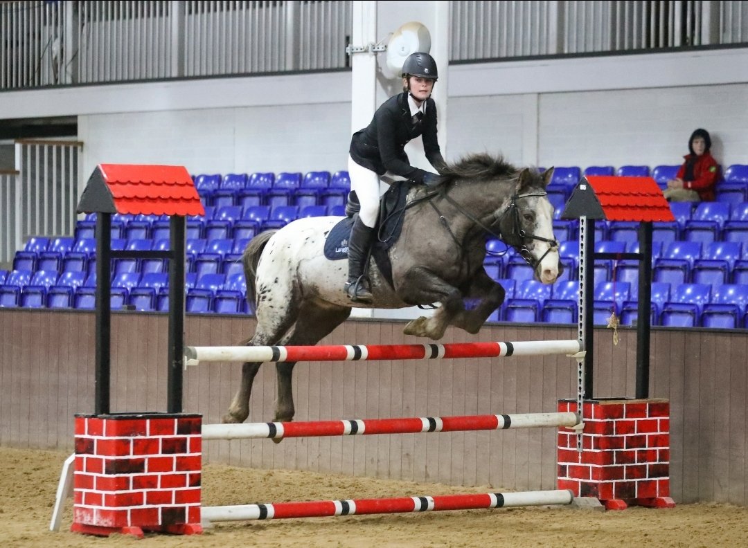 SnowdenPhoto's tweet photo. @Head4094 Audrey Snowden representing Langtree School at the NSEA show at Bury Farm recently. Audrey placed 3rd in the 90cm and 5th in the 1m as an individual. Langtree teams were placed 1st in 50 cm and 2nd in 60 cm. A brilliant achievement for the teams inaugural show. https://t.co/ZN2qMdKcdH