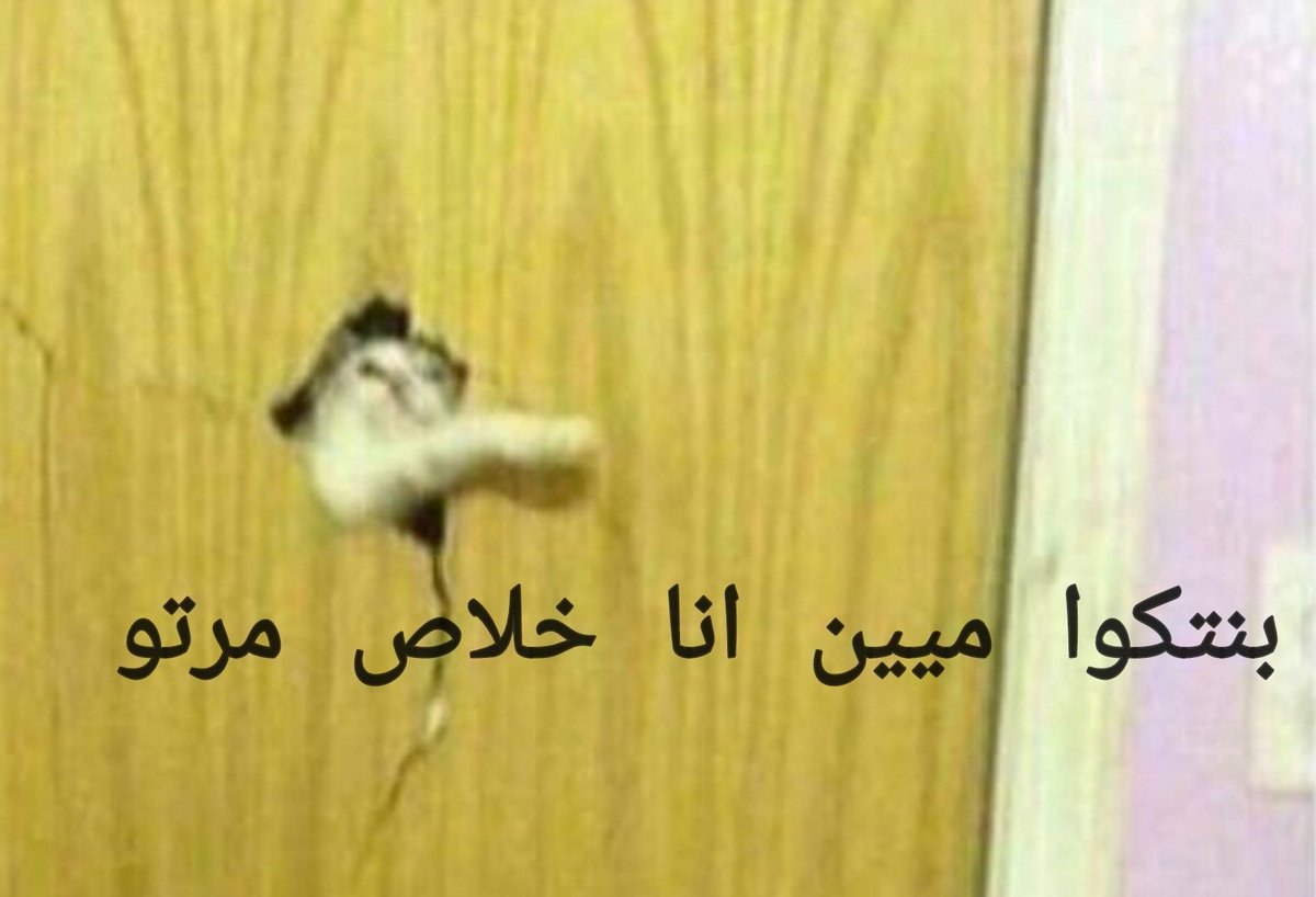 x0_khosof's tweet photo. لما يتقدم لك الي بتحبيه.
أهلك : هو بنتنا لسا بدها تكمل دراستها و... https://t.co/1ZNRBcIY1a