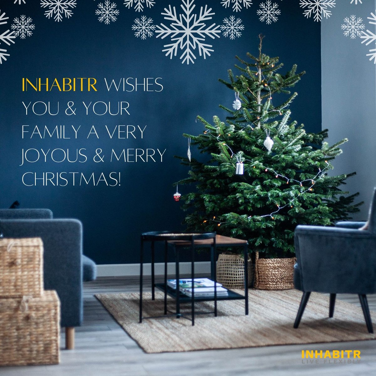 _inhabitr_'s tweet image. Have a splendid &amp;amp; safe Christmas this year!🎄💥