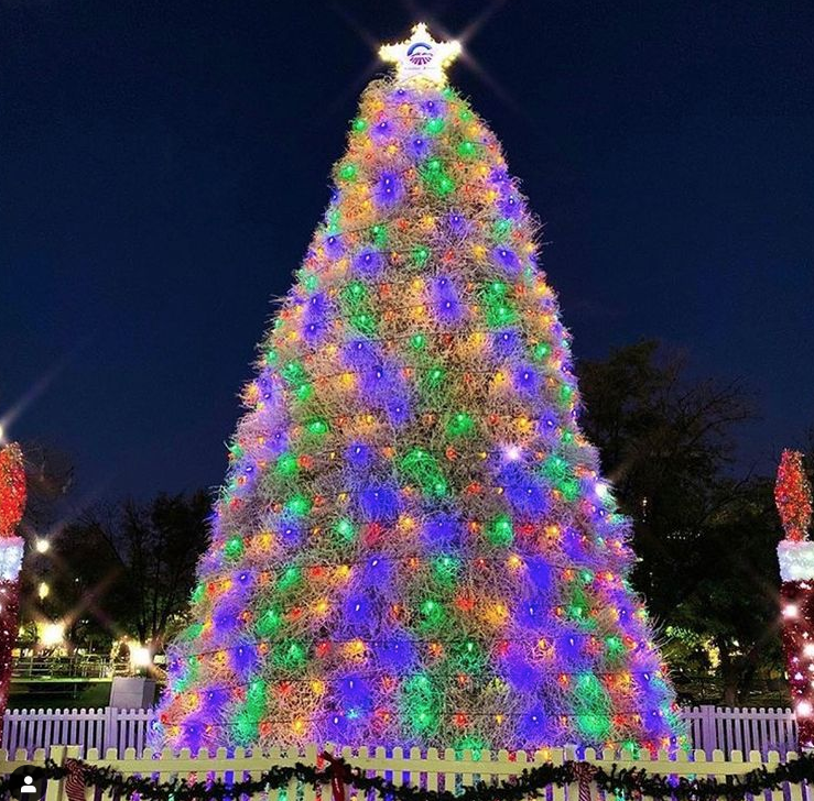 randyyagi's tweet photo. Learn more about five of the most unusual #Christmastrees in America. But due to COVID-19 travel is not advised to any of these cities. Please stay closer to home and stay safe!
https://t.co/MA6TaG1TsT
#SandTree, #TumbleweedTree, #LobsterTraptree, #SkiTree, #BarrelTree https://t.co/2rnbXXCxFb