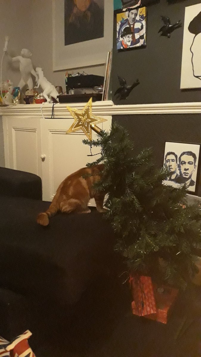 mariafloridia's tweet photo. Caught red handed!!!
#AlanFloridia https://t.co/jH7LPzVVBb