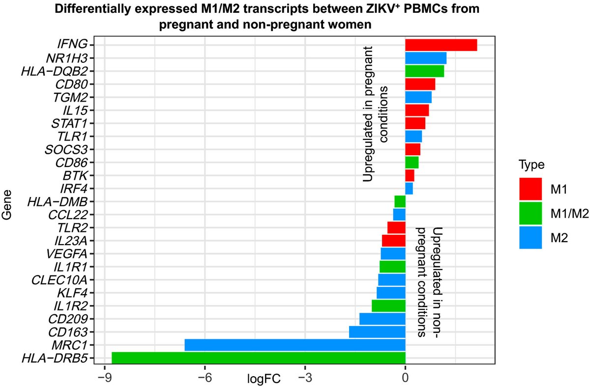 Gene expression responses to Zika virus infection in peripheral blood mononuclear cells from pregnant and non‐pregnant women