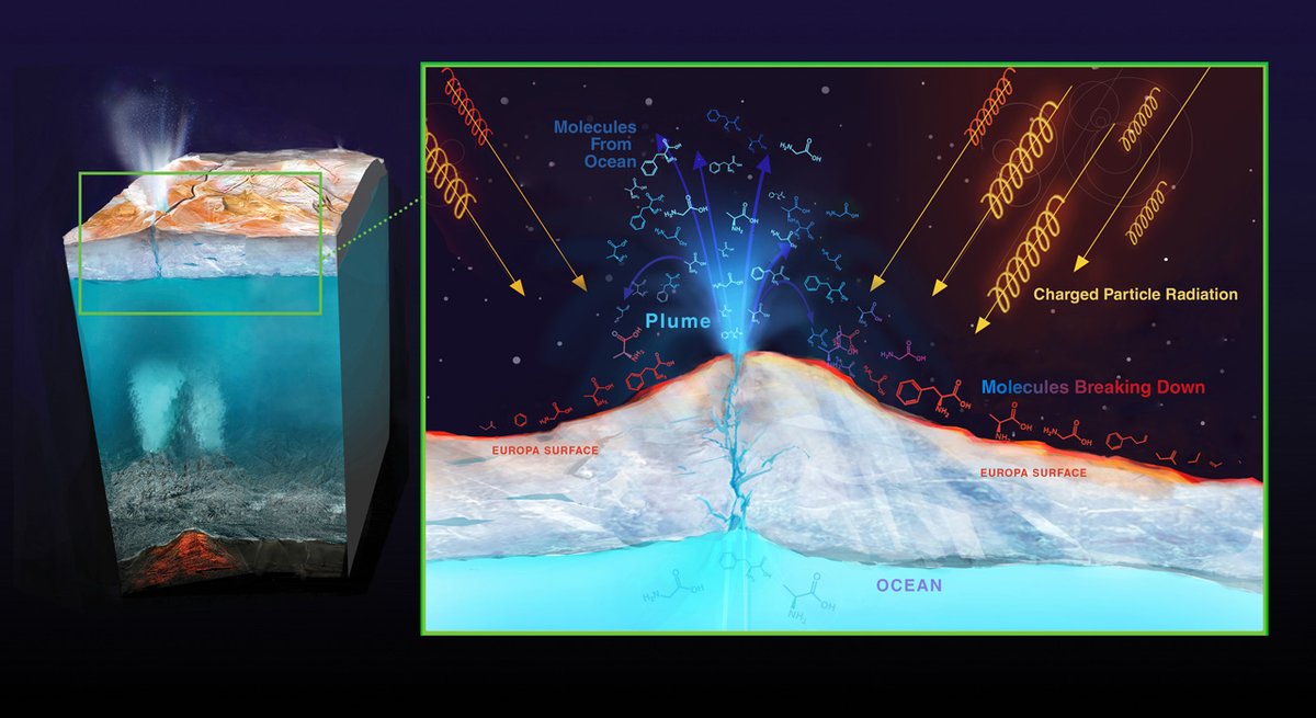 ...breaks down the water into hydrogen and oxygen. The hydrogen floats away, leaving the oxygen behind, helping create the thin oxygen-rich atmosphere on Europa. If this oxygen was somehow able to reach the subsurface ocean, it could be utilized as an energy source! (4/11)