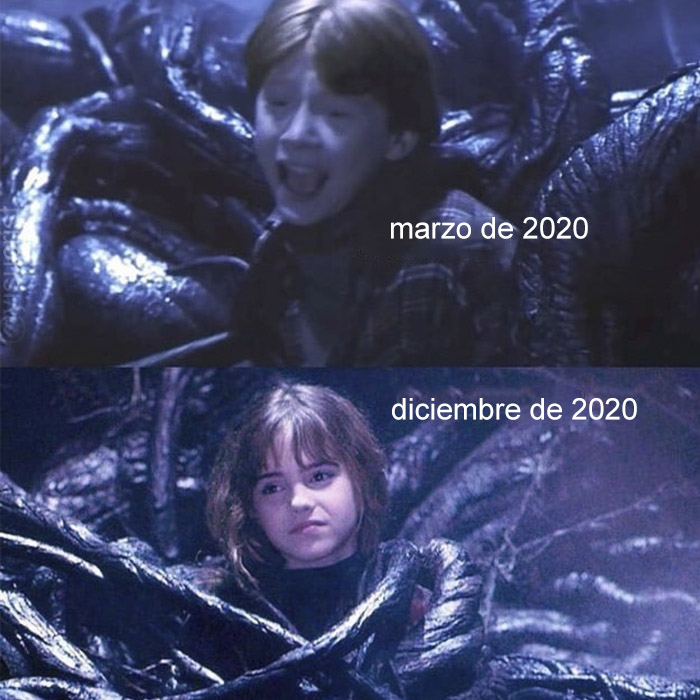 jezucrihto xd tweet media