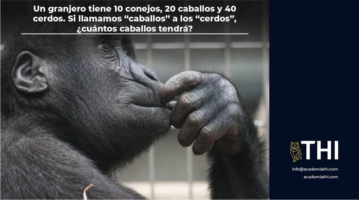 ThiAcademia's tweet photo. Esta semana el reto es un poco tricky.  Déjanos tu respuesta aquí abajo

Desarrolla tus habilidades matemáticas con nuestro cursos en:
https://t.co/DdzplLBz77 

#AcademiaTHI #acertijo #retosmatemáticos https://t.co/LeBWn6fzxn