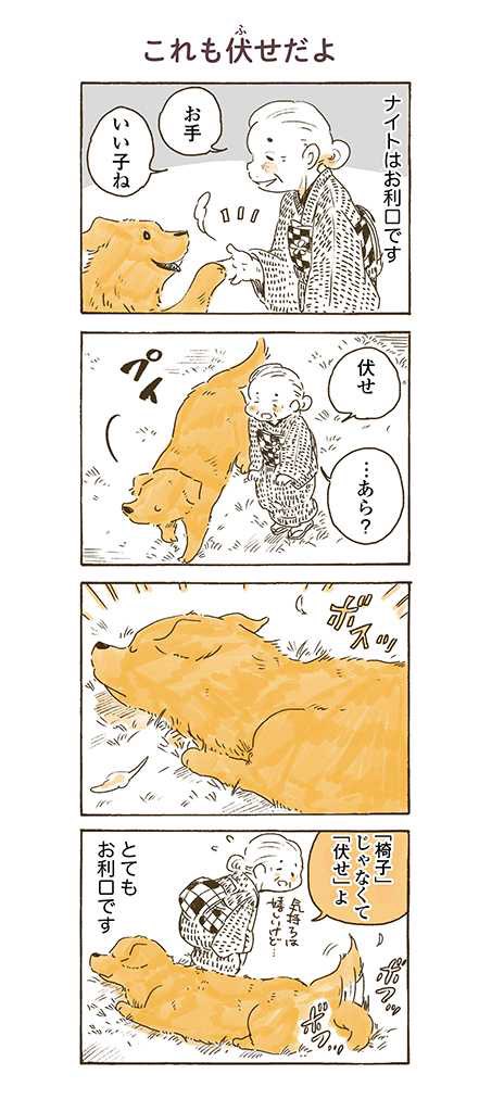 姫に褒められたいナイト

#姫ばあちゃんとナイト 