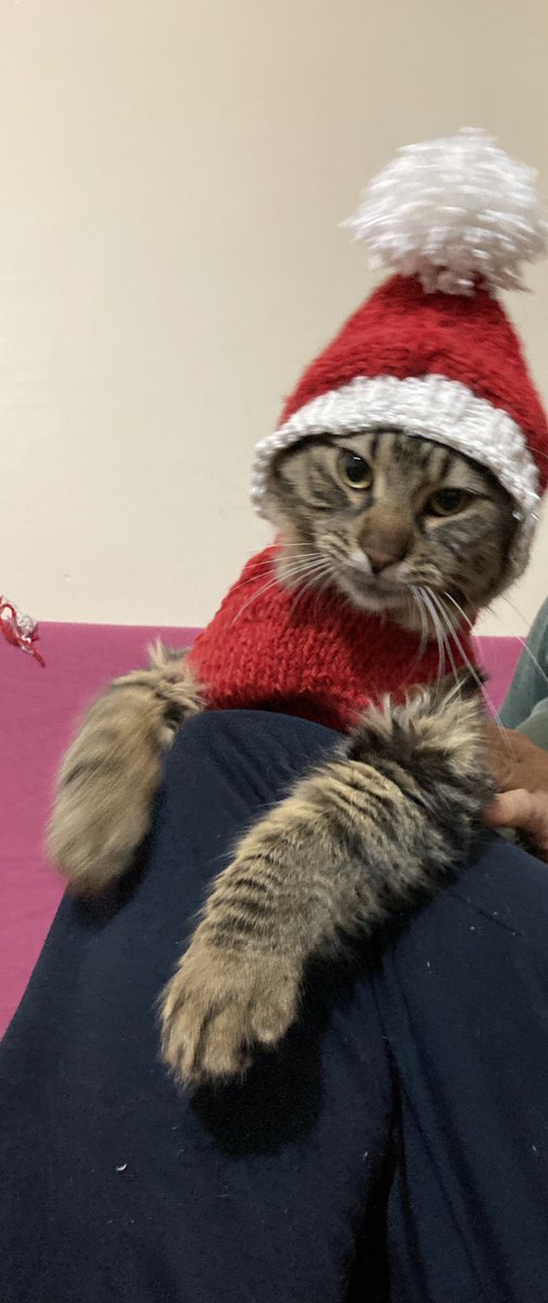 Noel Babacığınız geldi..