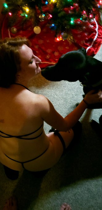 Come unwrap me for Christmas!!  And enjoy this blooper of the wonderful brutus trying to get attention