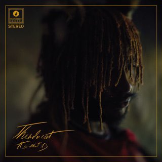 7. Thundercat - It Is What It IsThis album takes all the best elements of Thundercats music and hones in on those skills. It’s combination of smooth jazz with soul and a personality unlike anyone else in the industry. Thundercat proves yet again why he’s one of the best out rn.