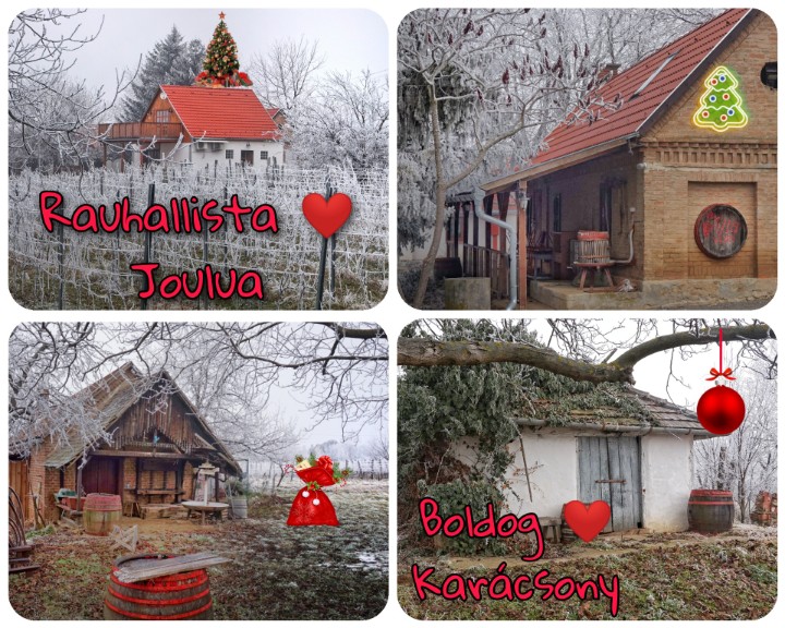PasiKall's tweet photo. Rauhallista Joulua 2020 suomalais-unkarilaiselta viinitilalta 🍷🍇
#Zsíbot #Szigetvár #Unkari #KapolnanViinipuutarha #viinitila #viinikellari #viini #Joulu #joulu2020 #Oulu https://t.co/USsstS1mvb