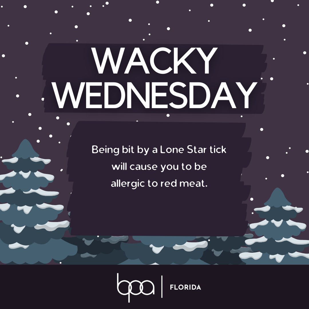 floridabpa's tweet photo. It's Wacky Wednesday!
#flbpa #bpa #wackywednesday https://t.co/wPZGliSlDM