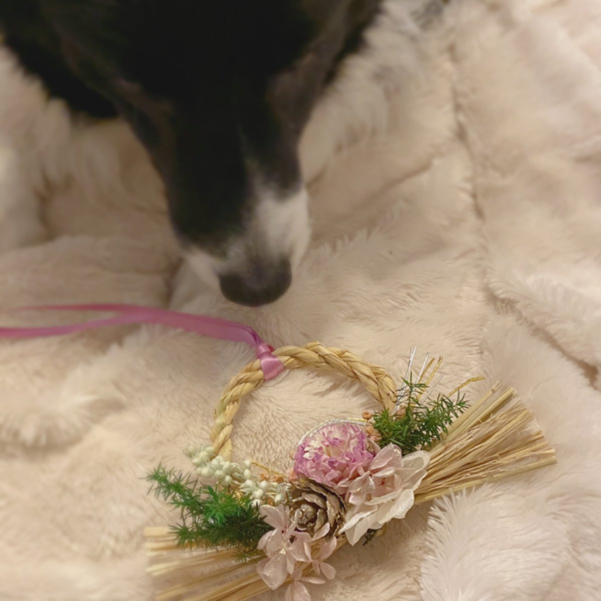 AromaCrystal's tweet photo. 【しめ縄んこ。小さな家族のためのしめ縄・和モダン　ドライフラワー　藁からあんだ注連飾り】Creema https://t.co/rSpYkqCsN2 via @Creema_jp https://t.co/fo9xO4Xtxr