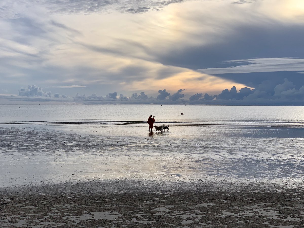 Adrian Rudin tweet media