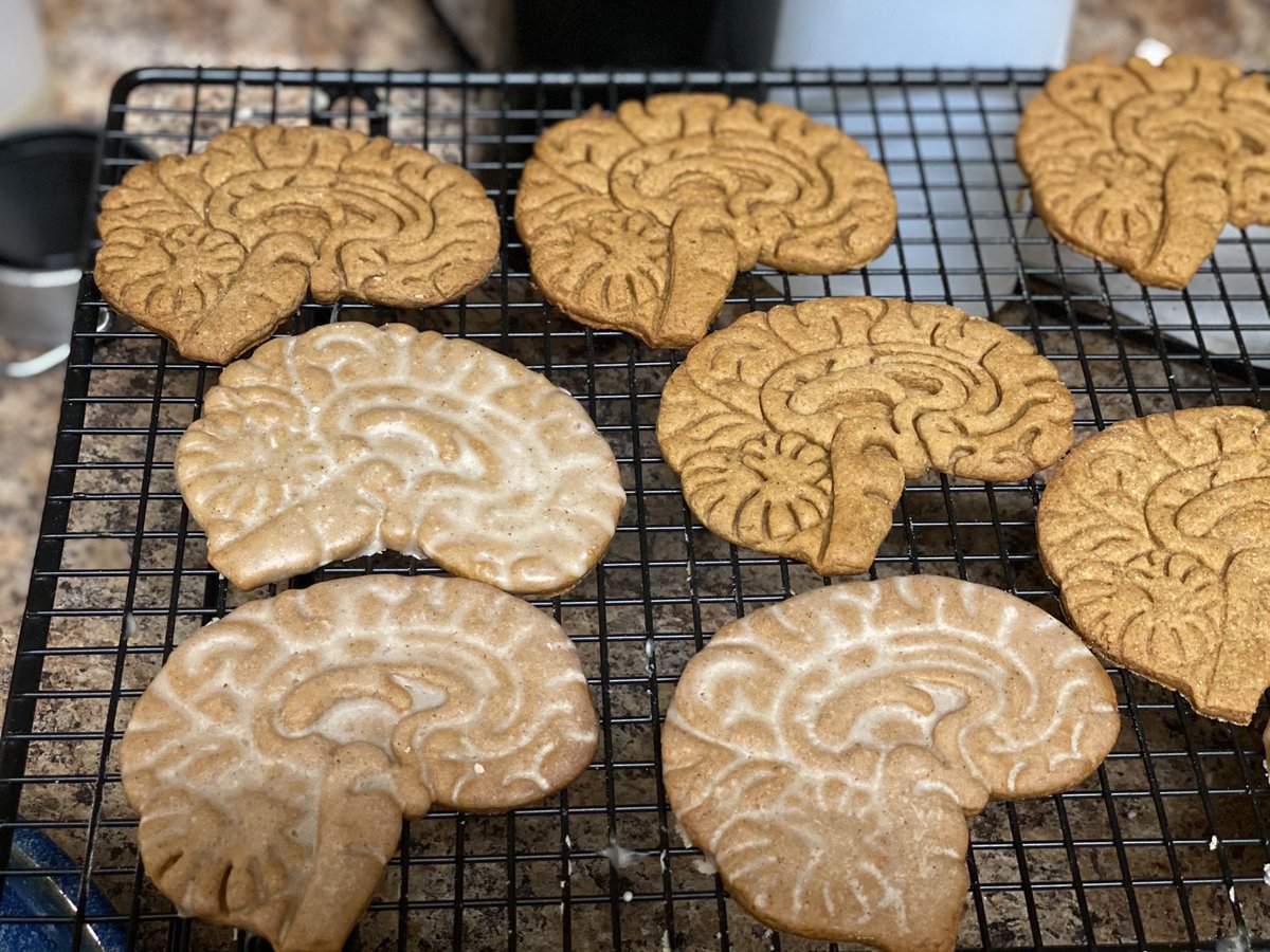 It is that time of year again. Happy Holidays from my family to yours!!! Here's to wishing for a renewed sense of hope and optimism in 2021.  #gingerbreadcookies #HolidaySeason #neuroscience #BRAINS