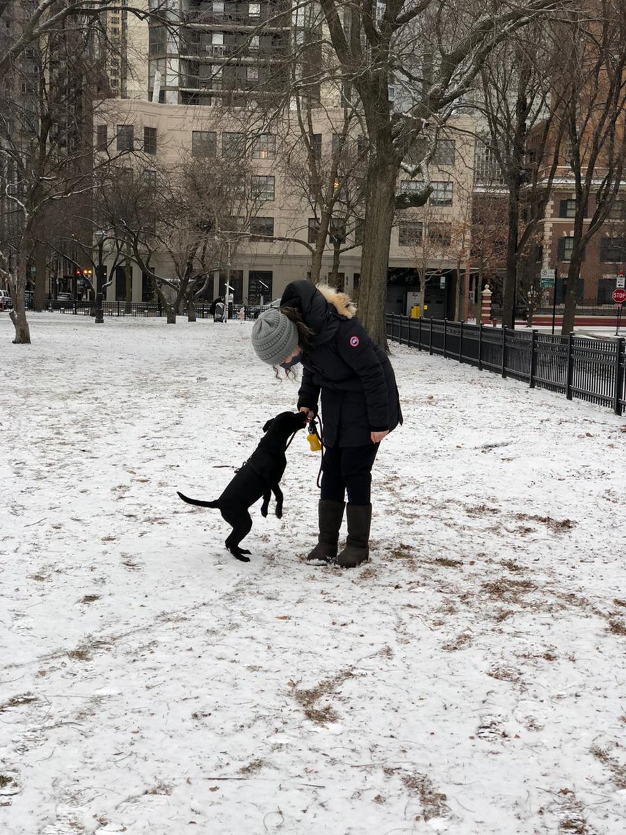 UChicago Neurology Residency tweet media