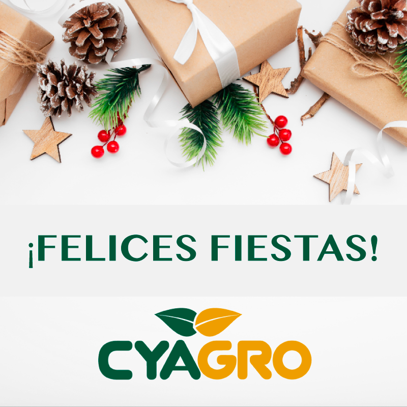 ¡Felices Fiestas! 💫 🎄

#felicidades #feliznavidad #felizañonuevo