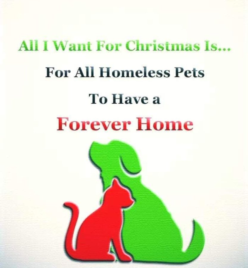 AVGυcкy tweet media