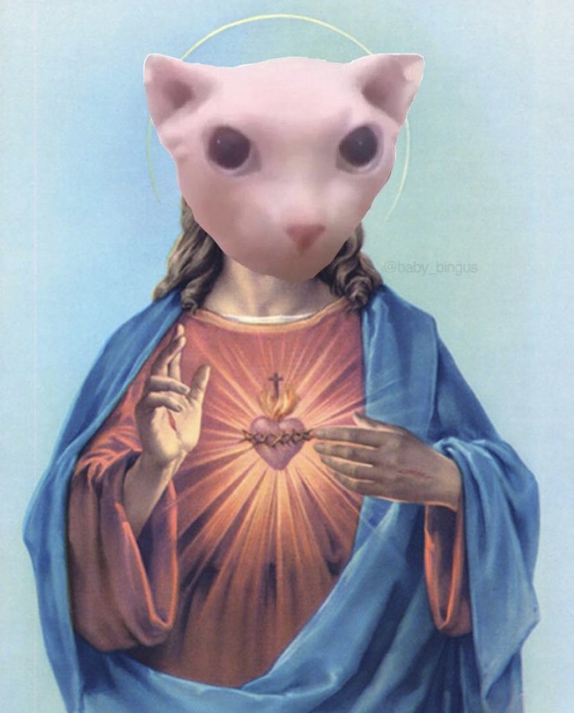 all hail bingus, our lord and savior!